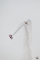meeting aerien (41)